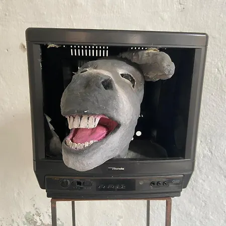 Gordona ארגגנו